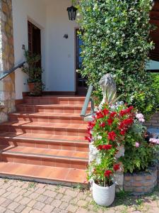 a set of stairs with flowers in front of a house at B&B Desenzano in Desenzano del Garda