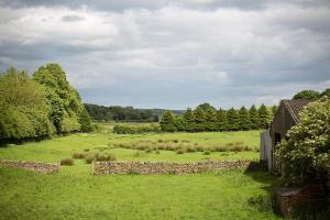a green field with a stone fence and trees at Cenotaph View, Bardon Mill in Hexham +7 photos