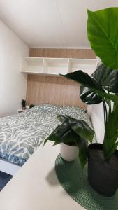 a bedroom with a bed and a plant on a table at Hiška Gaia- pool tickets included in Brežice