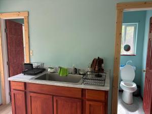 a bathroom with a sink and a toilet at Pagosa Chi Camps in Pagosa Springs