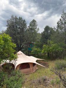 a tent sitting in the grass in a field at Pagosa Chi Camps in Pagosa Springs