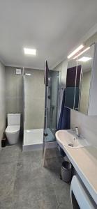 a bathroom with a shower and a sink and a toilet at 3 ruoniai in Palanga