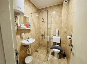 a bathroom with a shower and a toilet and a sink at Alice's Home in Surčin