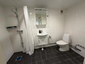 a bathroom with a toilet and a shower and a sink at Spacy flat with big garden in Södertälje +10 photos