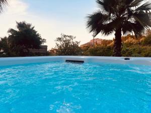 a large blue swimming pool with a palm tree at Villa Tiche in Cefalù