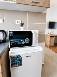 a microwave on top of a refrigerator in a kitchen at Alice's Home in Surčin