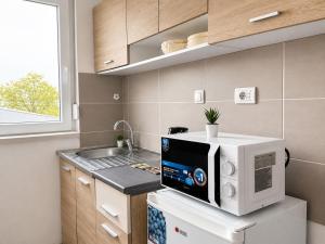 a kitchen with a microwave on top of a counter at Alice's Home in Surčin +132 photos