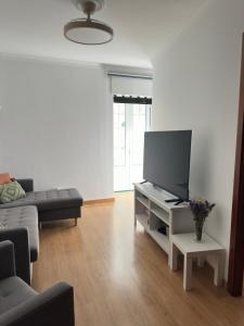 a living room with a couch and a tv at OMG Faro in Faro