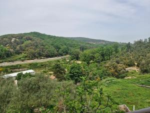 a view of a mountain with a road in the distance at Maison in Tizi Ouzou