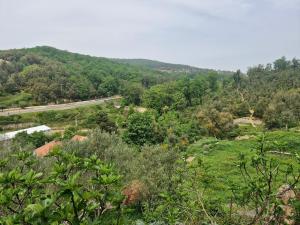 a view of a hill with trees and a road at Maison in Tizi Ouzou