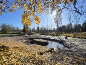 Gallery image of Kivi puhkemajad in Kauda