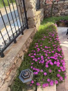 a flower garden with pink flowers next to a fence at Къща за гости Пилигрим in Skrino