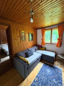 a living room with a blue couch and wooden walls at Vikendica Bistrica in Mojkovac
