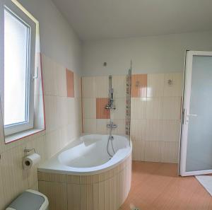 a bathroom with a bath tub and a toilet at Casa la Helesteu in Ocnele Mari +53 photos