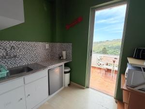 a kitchen with green walls and a view of a patio at Art & Motion Union - Guest Room 2 in Apoíkia