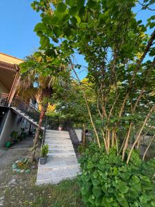 a stairway leading up to a house with trees at Dadu's Guesthouse in Samtredia