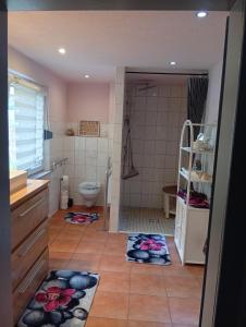 a bathroom with a shower and a toilet with mats on the floor at Ferienhäuschen Berg und Tal in Harzgerode +29 photos