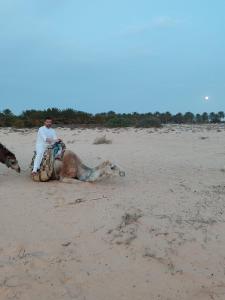 Gallery image of Campement Sahara Oasis Douz in Douz
