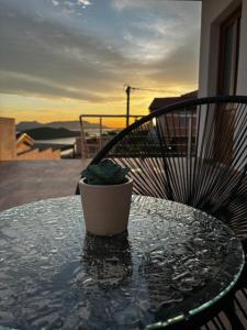 a table with a potted plant sitting on top at Apartman AN12 in Neum