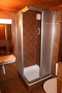 a shower with a glass door in a bathroom at Hotel Restaurant Waldrand in Isenfluh