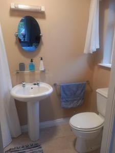 a bathroom with a sink and a toilet and a mirror at Waterways Lodge in Carrick on Shannon +6 photos