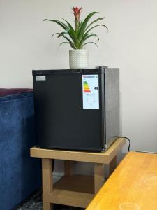 a tv sitting on a table with a potted plant at Kennington house #30 in Oxford