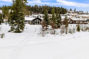 a house in the snow with trees at Cozy and modern cabin in Vossevangen