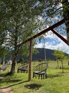 two swings in a field with trees at Soko Guest House in Žabljak