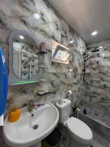 a bathroom with a sink and a toilet and a mirror at Dadu's Guesthouse in Samtredia +109 photos