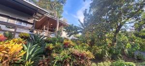 a garden in front of a house with plants at Stone Hill farm & cabins in Penonomé