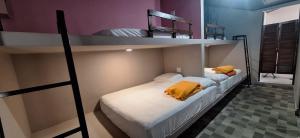 two sets of bunk beds in a room at Stone Hill farm & cabins in Penonomé