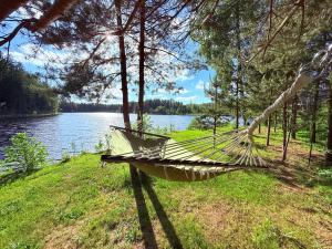 a hammock in the grass next to a lake at Miško Perlas in Buožėnai