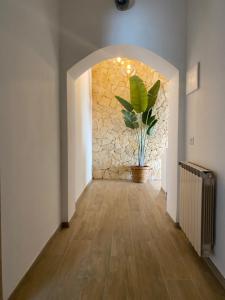 a hallway with a stone wall and a potted plant at CasadiCampo in Scauri