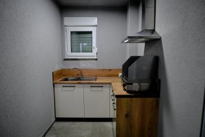a small kitchen with a sink and a microwave at Villa Dubrava in Matuzići