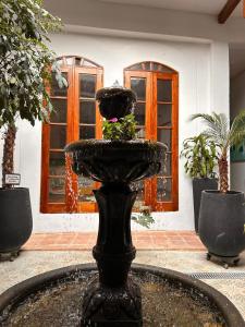 a fountain in the middle of a courtyard with plants at Tángara Home in Cali +14 photos