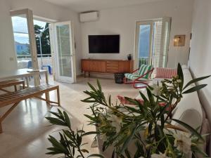 a living room with a flat screen tv and some plants at Otto Novalja, spacious penthouse apartment in city center in Novalja