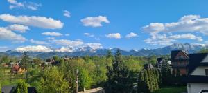 a view of snow capped mountains from a town at Willa Ewelinka in Zakopane