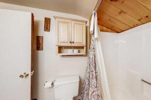 a bathroom with a toilet and a shower at Town Farm Retreat in Ludlow +86 photos