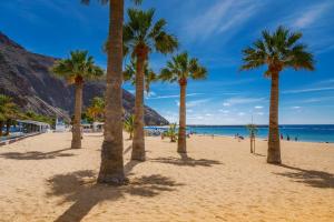 a group of palm trees on a beach at Blue Gold Escape - Ocean view, airco, heated pool in Adeje