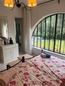 a large bed in a bedroom with a large window at Eden apartments 2 in Bardolino