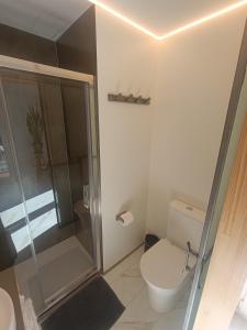 a bathroom with a toilet and a glass shower at A Porta Verde in O Grove
