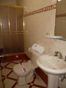 y baño con aseo y lavamanos. en Hotel San Martín, en Tacna