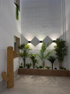 a room with palm trees in a room with lights at Alojamientos LUMARA in Peal de Becerro