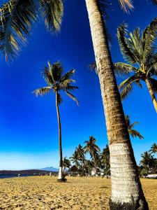 two palm trees on a beach with a blue sky at Mar Real Suites Guayabitos in Rincon de Guayabitos