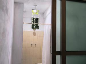 a bathroom with a shower with a plant in it at Casa Tonatih in Mexico City +19 photos