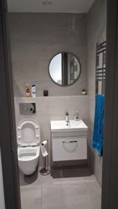 a bathroom with a toilet and a sink and a mirror at Modern Studio Apartment with En-Suite in Peterborough