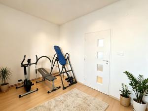 a gym with exercise equipment in a white room at Apartment by the lake in Píšťany +7 photos