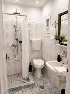 ein Badezimmer mit Dusche, Toilette und Waschbecken in der Unterkunft Alexandra Studios in Stafylos