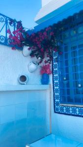 a group of flowers in vases on a wall at Hammamet Studio Hafsya in Hammamet