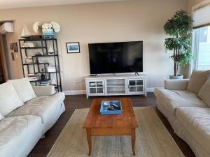 a living room with two couches and a flat screen tv at Life on the Lake in Colchester